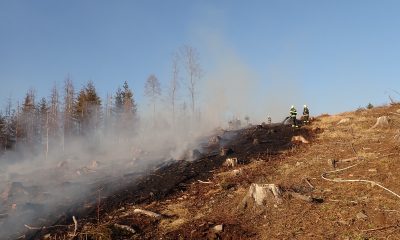 Požár trávy v Machulkách