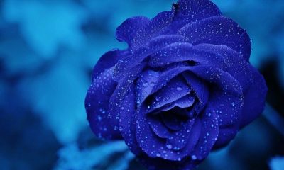 Světový den zvýšení povědomí o autismu