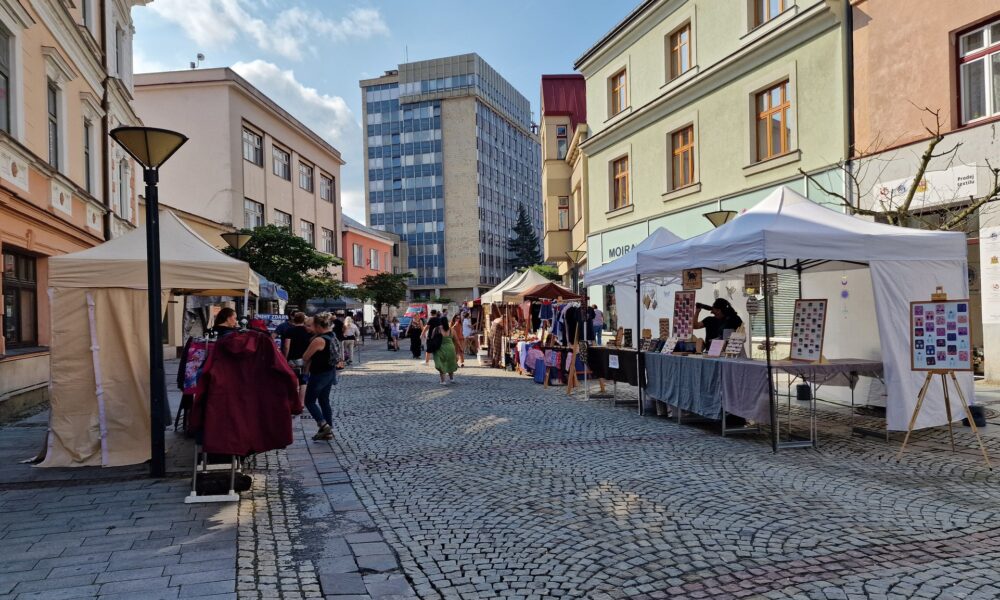Vsetínští zastupitelé zamítli zachování knihovny v Luhu