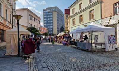 Vsetínští zastupitelé zamítli zachování knihovny v Luhu
