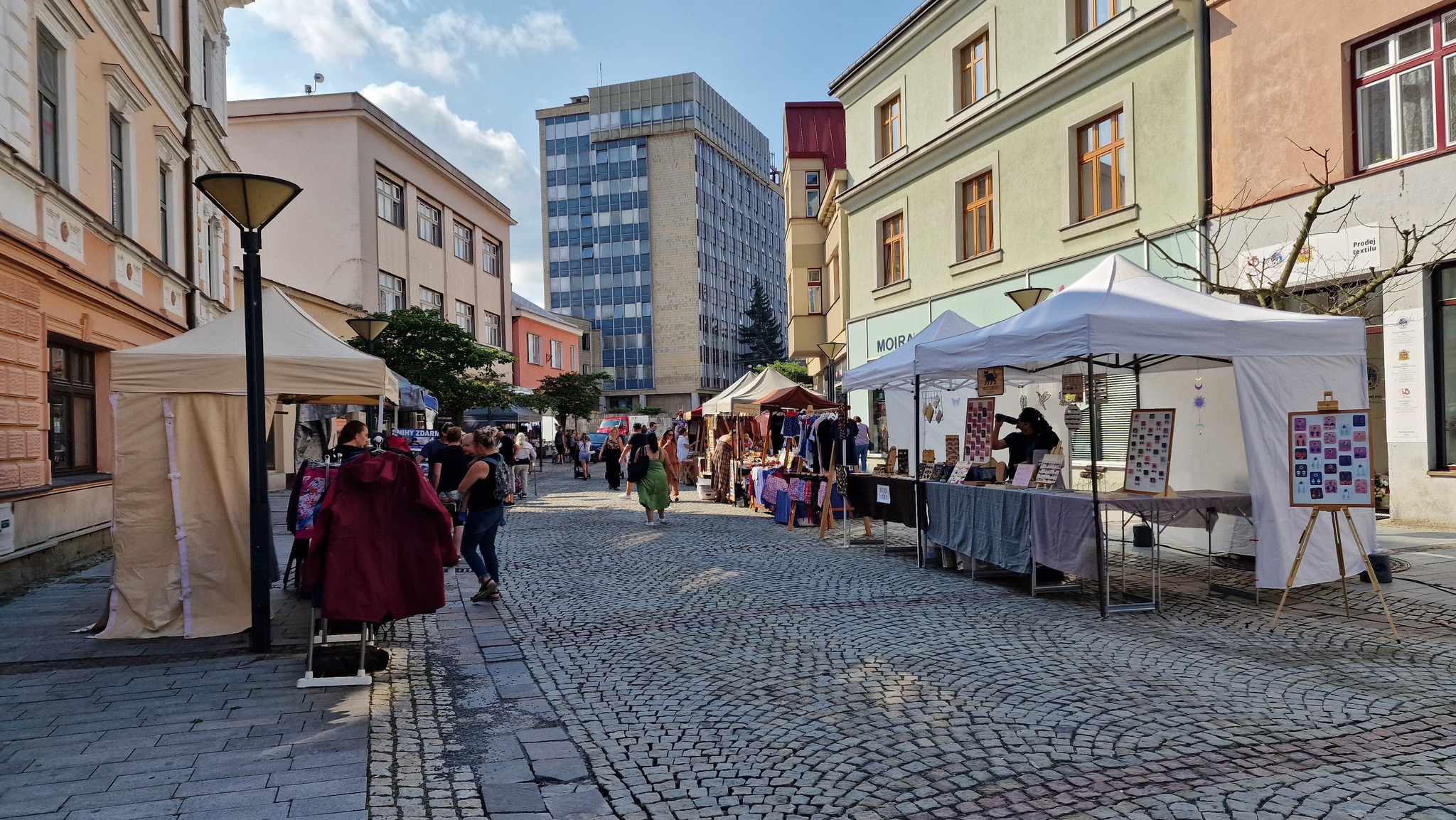 Vsetínští zastupitelé zamítli zachování knihovny v Luhu