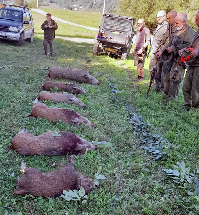 Myslivcům unikl jen jeden kňour