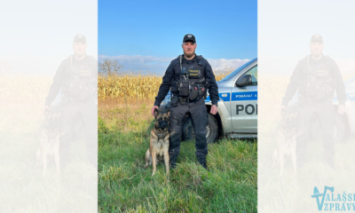 Policejní pes Kid vypátral ztraceného myslivce u Tlumačova