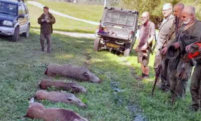 Myslivci zachránili vizovické hřiště před nočním nájezdem divočáků