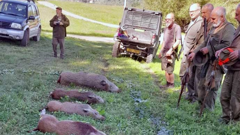 Myslivci zachránili vizovické hřiště před nočním nájezdem divočáků