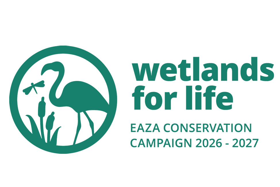 Wetlands for Life aneb Mokřady pro život - tak se jmenuje nová kampaň Evropské asociace zoologických zahrad a akvárií (EAZA).