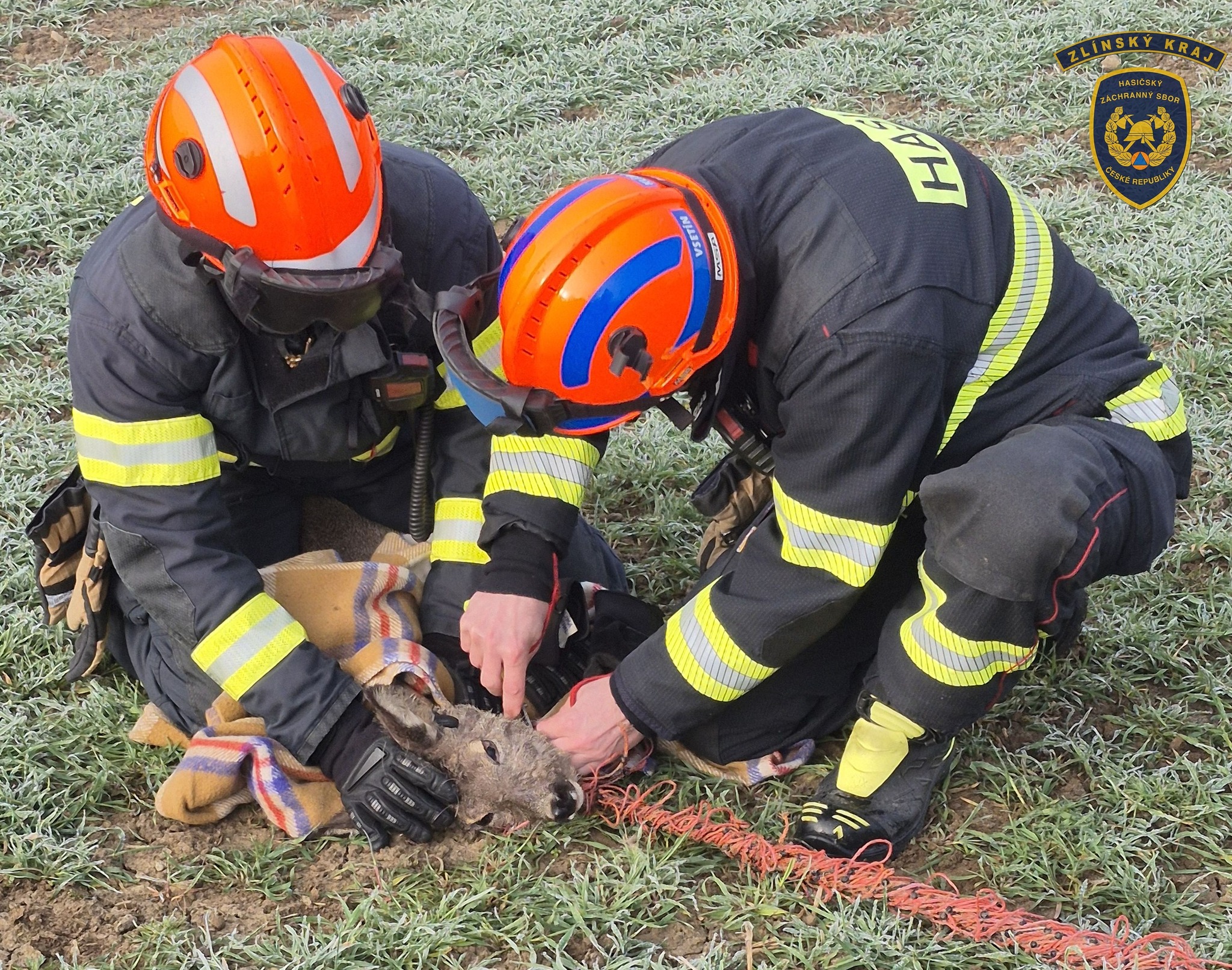 Zásah hasičů trval celkově asi 5 minut a srnu se podařilo zachránit. Zdroj: HZS Zlínského kraje