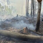 Rozsáhlý požár lesa u Vlachovic–Vrbětic - 1.