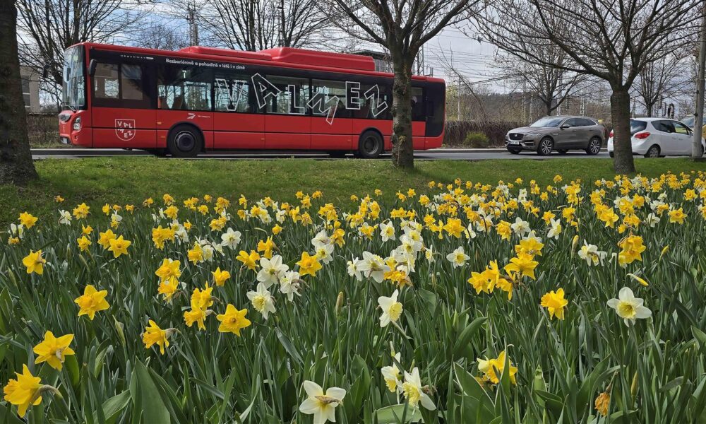 Milionové investice do zeleně proměňují Valmez