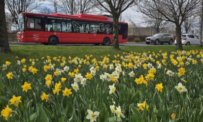 Milionové investice do zeleně proměňují Valmez