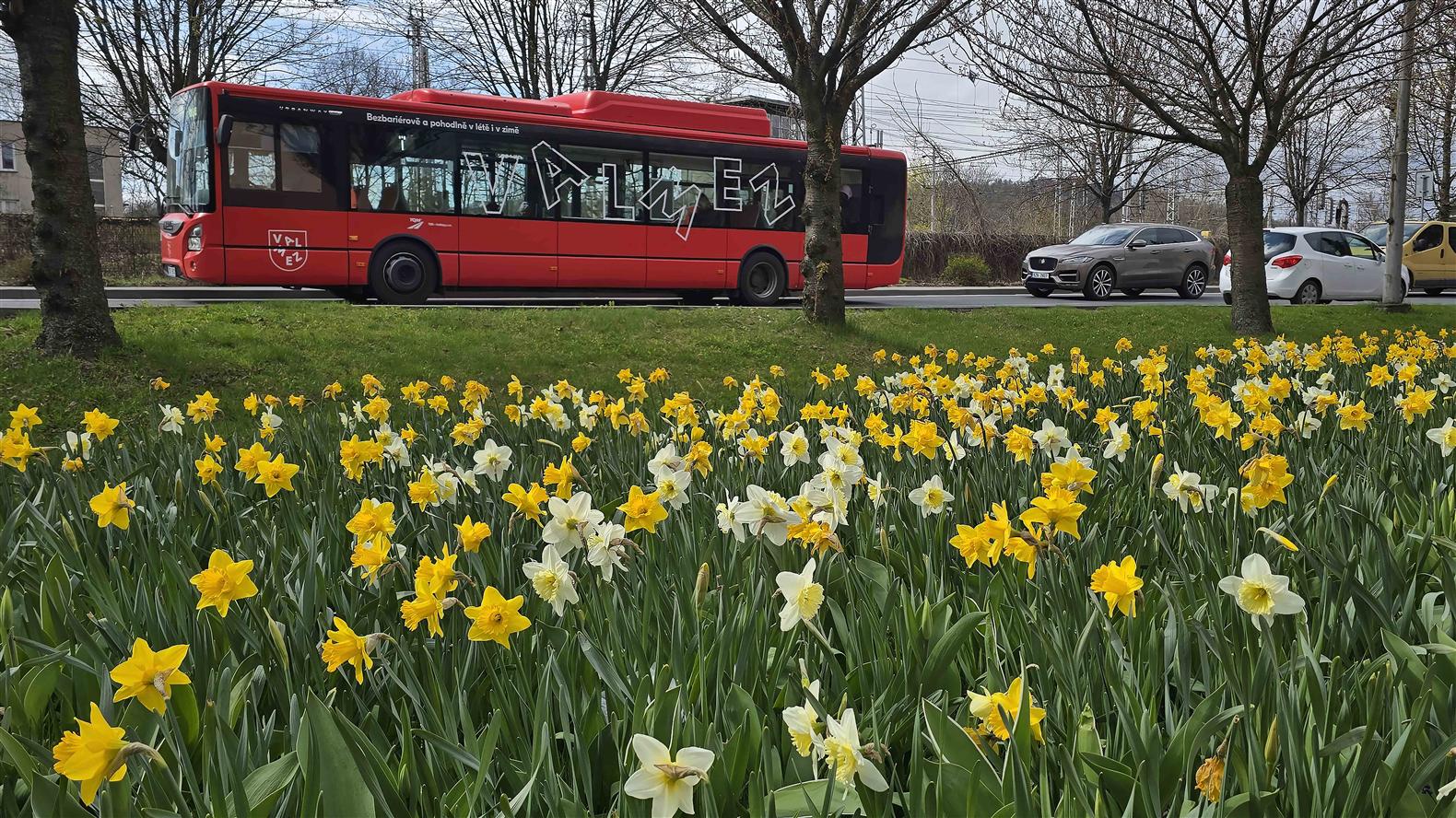 Milionové investice do zeleně proměňují Valmez