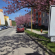 Valašské Klobouky pokračují v proměně ulice Luční