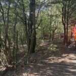 Les nad Zašovou zachvátil požár, hasiče potrápil terén i vítr