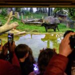 Zoo Zlín se zahalí do světel, chystá večerní prohlídky