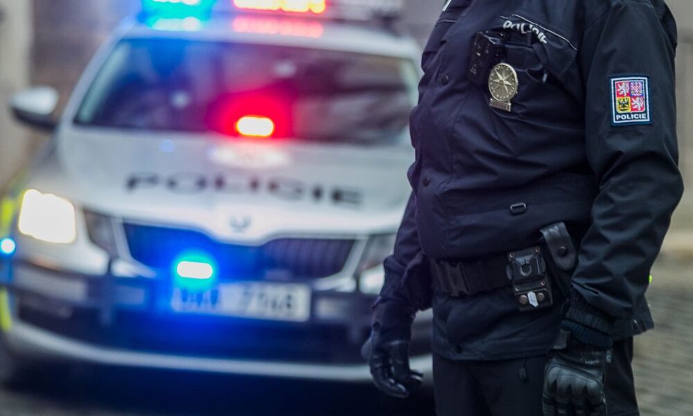 Chlapce na Zlínsku pokousal pes, případ už prověřuje policie