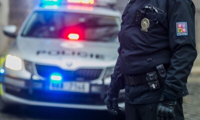 Chlapce na Zlínsku pokousal pes, případ už prověřuje policie